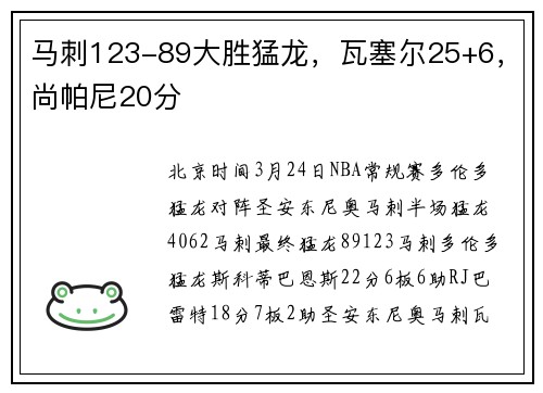 马刺123-89大胜猛龙，瓦塞尔25+6，尚帕尼20分